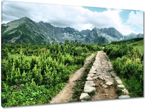 Festmények 120x80 Kő út Tátra