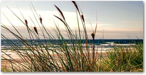 Konyhai panel Tengerparti dűnék 100x50 cm Ragasztó