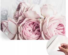 Öntapadós Dekoratív Fotótapéta Hálószobába Rózsaszín rózsák 416x254 cm