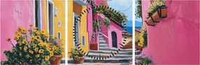 Kép - Rózsaszín sikátor (órával) (90x30 cm)