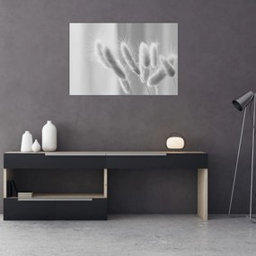 Kép - Nyuszi farok fű (90x60 cm)