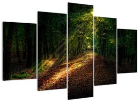 Erdei út képe (150x105 cm)