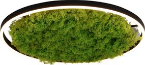 Paul Neuhaus modern skandináv mennyezeti lámpa green ritus zöld pln15392-66