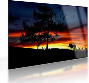 Kép - Farkas sziluettje (üvegen) (70x50 cm)