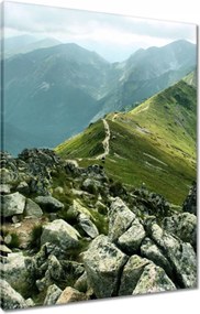 Vászonkép 60x80 Tátra csúcs