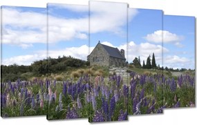 Vászonkép 100x60 Lila virágok domb