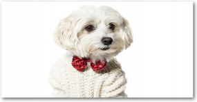 Fotó-üvegkép Máltai csokornyakkendő 140x70