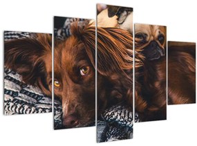 Egy kép fekvő kutyákról (150x105 cm)