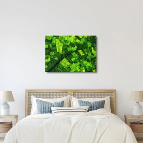 Kép - A lap részlete (70x50 cm)