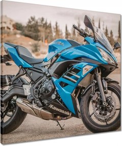 Vászonkép 50x50 Motorkerékpár Kawasaki Ninja