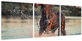 Kép - Futó ló (órával) (90x30 cm)