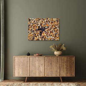 Egy tengeri csillag képe (üvegen) (70x50 cm)