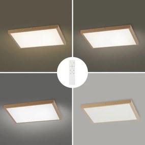 Brilagi - dimmelhető LED fürdőszobai világítótest FRAME SMART LED/50W/230V 60x60 IP44 + távirányító
