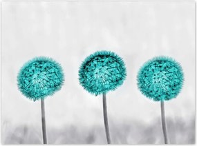 Poszterek 135x100 Pitypangok