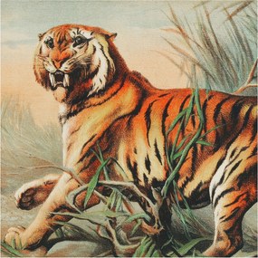 Dekoratív fotótapéta falra Könnyű összeszerelés Tigris természet 250x250 Ragasztó