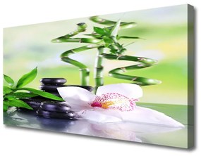 Vászonkép falra Bamboo Orchid Zen Spa 100x50 cm