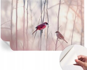 Öntapadós Dekoratív Fotótapéta Hálószobába Madárpár 416x254 cm