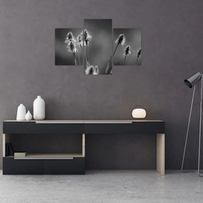 Kép - Bézs színű puha fű N⁰2 (90x60 cm)