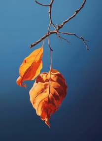 Poszter 40x55cm A nyár utolsó lélegzete