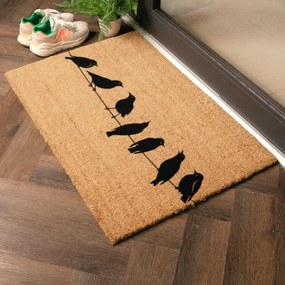 Kókuszrost lábtörlő 40x60 cm Birds On a Wire – Artsy Doormats