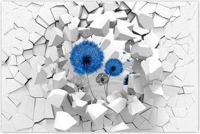 Poszterek 90x60 Kék pitypangok