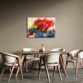 Vörös ara papagájok képe (70x50 cm)