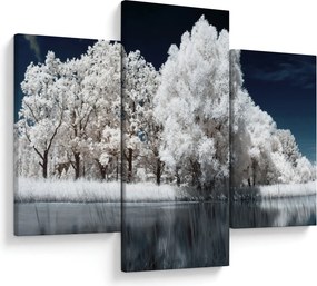 Kép - Hófehér fák (90x60 cm)