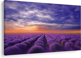 Egy levendula mező képe (90x60 cm)