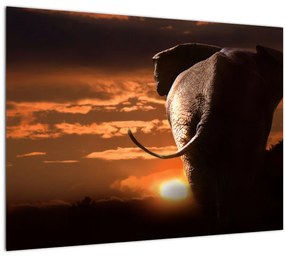 Elefánt képe (üvegen) (70x50 cm)