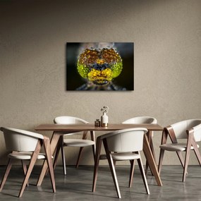 Részletes kép a rovar szemről (70x50 cm)