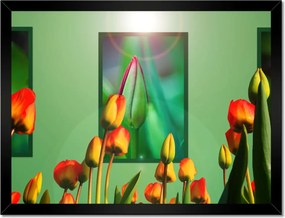 Poszterek keretben 40x30 Tulipánok Virágok