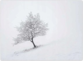 Poszterek 135x100 Fa Fák Kilátás