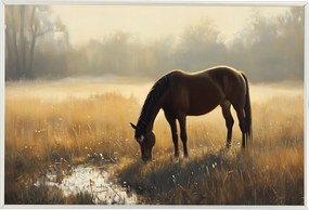 Poszter Keret Alumínium Tájkép Szabadtéri Rét Ló Gesztenye Reggel Köd 60x40