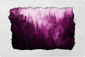 Poszterek 90x60 Tájkép Rózsák Hegyek Köd