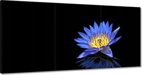 Vászonkép 180x90 Virágok