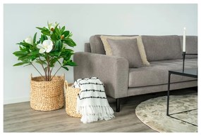 Vízijácint tárolókosár szett 2 db-os ø 35x37 cm Passo – House Nordic