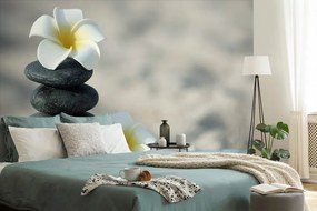 Öntapadó fotótapéta harmonikus kövek és plumeria virág