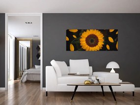 Kép - Napraforgók és a virágszirmok (120x50 cm)