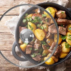 Orion Üveg fedő fogantyúval, 30 cm, 30 cm
