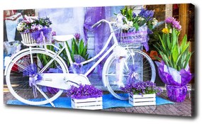 Vászonkép falra Fehér kerékpár oc-96033947