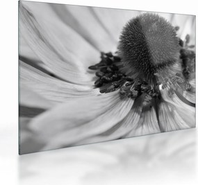 Üveg kép - Virág fekete-fehérben (70x50 cm)