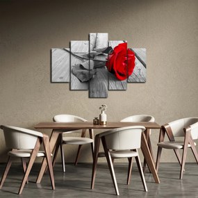 Egy vörös rózsa képe (150x105 cm)