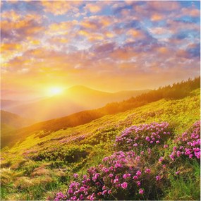 Divatos Flizelin Tapéta Ragasztóval Fali 3D Hegyi nyugat 250x250 Ragasztó