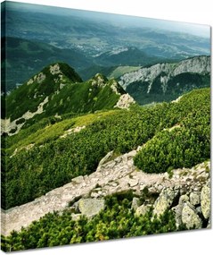 Vászonkép 40x40 Tátra Lengyel hegyek Kilátás