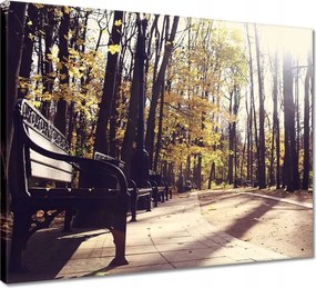 Vászonkép 50x40 Városi park Tájkép