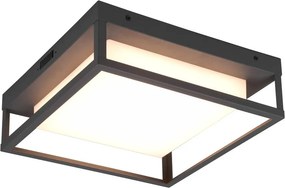 LED fali kültéri lámpa (magasság 10 cm) Witham – Trio