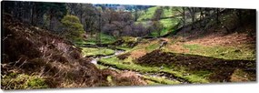 Vászonkép 90x30 Hegyi táj Patak