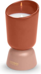 Esteban Paris Iconic Illatgyertya 220g Teck és Tonka illat