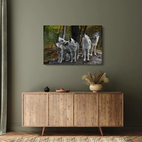 Kép - Farkasok a sziklán (90x60 cm)