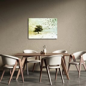 Kép - Festett madárállomány (70x50 cm)